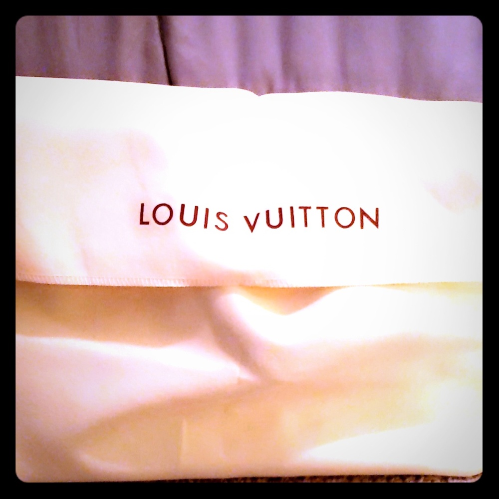 Louis Vuitton Purse